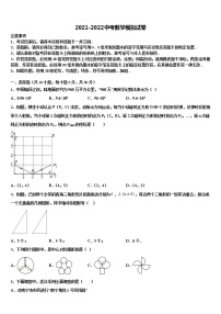 清华附中朝阳校2021-2022学年中考数学最后一模试卷含解析