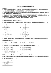 山东省济南实验2021-2022学年中考数学猜题卷含解析