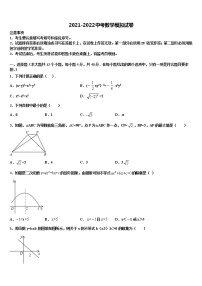 山东省济宁市汶上县市级名校2022年中考数学全真模拟试卷含解析