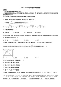 山东省临清市2022年中考数学仿真试卷含解析