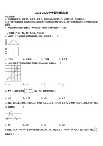 山东省新泰市2021-2022学年中考数学最后一模试卷含解析