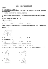 山东省青州市吴井初级中学2021-2022学年初中数学毕业考试模拟冲刺卷含解析