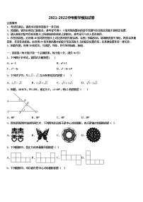 山东省泰安市、新泰市达标名校2021-2022学年初中数学毕业考试模拟冲刺卷含解析