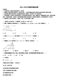 山东省东平县第三中学2021-2022学年中考数学全真模拟试题含解析