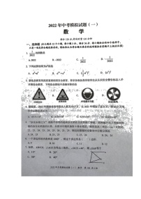 2022年湖南省娄底市新化县中考模拟（一）数学试题