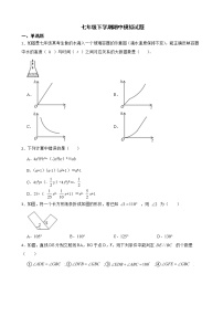 北师大版初中数学七年级下学期期中模拟试题含解析