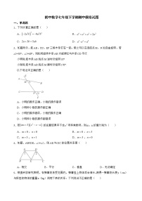 北师大版初中数学七年级下学期期中模拟试题含解析 (1)