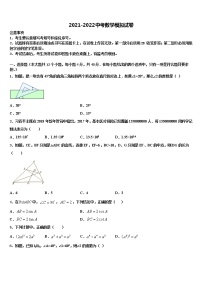 深圳市华侨实验中学2022年中考适应性考试数学试题含解析