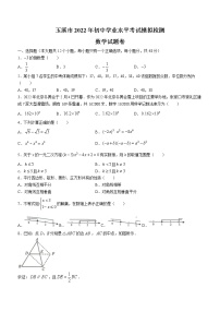 2022年云南省玉溪市初中学业水平考试模拟检测数学试题（无答案）