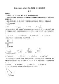 2022年河南省鹤壁市中考模拟测试数学试题（有答案）