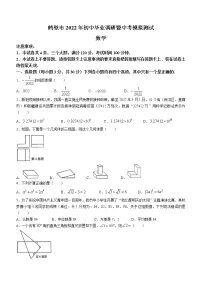 2022年河南省鹤壁市中考模拟测试数学试题（有答案）
