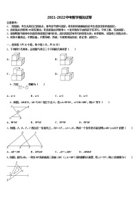 泰安市2022年十校联考最后数学试题含解析