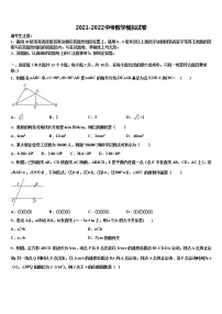 四川省巴中学市恩阳区实验中学2021-2022学年中考数学考试模拟冲刺卷含解析