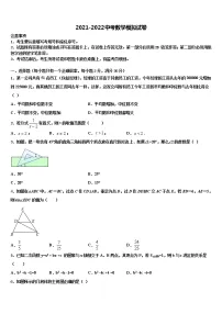 四川省资阳市雁江区临丰祥片区重点中学2021-2022学年中考数学全真模拟试卷含解析