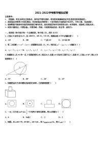 四川宜宾县横江片区2022年中考二模数学试题含解析