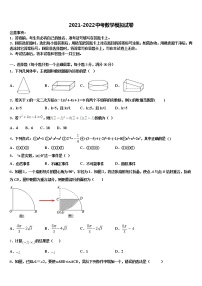 四川省资阳市乐至县2022年中考三模数学试题含解析