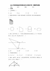 2022年陕西省宝鸡市陈仓区九年级中考一模数学试题(含答案)