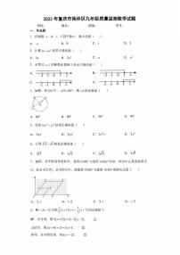 2022年重庆市南岸区九年级质量监测数学试题(含答案)