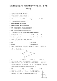 山东省济宁市金乡县2021-2022学年八年级（下）期中数学试卷（含解析）