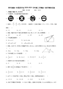 青竹湖湘一外国语学校2020-2021学年第二学期初一数学期末试卷