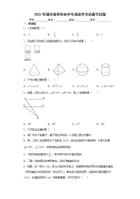 2022年湖北省枣阳市中考适应性考试数学试题(word版含答案)