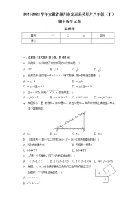 2021-2022学年安徽省滁州市定远县吴圩片八年级（下）期中数学试卷（含解析）