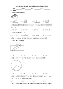 2022年山东省泰安市泰山区中考一模数学试题(word版含答案)