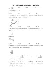 2022年甘肃省陇南市西和县中考一模数学试题(含答案)