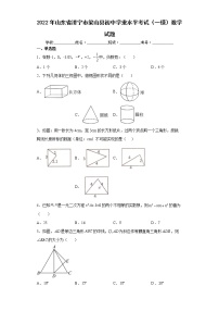 2022年山东省济宁市梁山县初中学业水平考试（一模）数学试题(word版含答案)