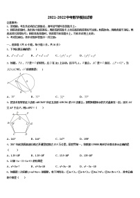 芜湖无为县联考2022年中考数学押题卷含解析