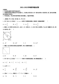 潍坊市临朐县九山镇初级中学2021-2022学年中考数学模试卷含解析