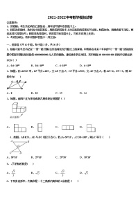 云南省昭通市昭阳区苏家院镇中学2022年中考数学押题卷含解析