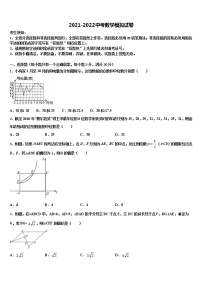 云南省文山县市级名校2021-2022学年中考适应性考试数学试题含解析