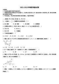 云南省红河哈尼族彝族自治州2021-2022学年中考数学模拟精编试卷含解析