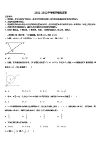 浙江宁波镇海区2021-2022学年中考数学全真模拟试卷含解析