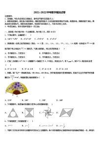 浙江省绍兴市皋埠镇中学2021-2022学年毕业升学考试模拟卷数学卷含解析