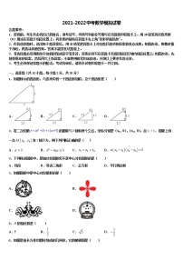 重庆市江北九校2021-2022学年中考数学对点突破模拟试卷含解析