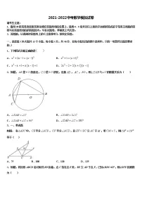 浙江省宁波市市级名校2021-2022学年中考适应性考试数学试题含解析