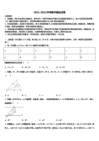 浙江省宁波市宁波华茂国际校2021-2022学年中考数学仿真试卷含解析