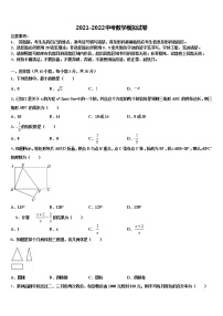 浙江省乐清育英校2022年中考冲刺卷数学试题含解析