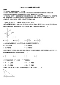 浙江省绍兴市树人中学2022年中考适应性考试数学试题含解析