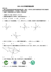 浙江省温州市新星学校2021-2022学年中考数学对点突破模拟试卷含解析