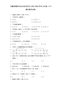 安徽省滁州市定远县吴圩片2021-2022学年七年级（下）期中数学试卷（含解析）