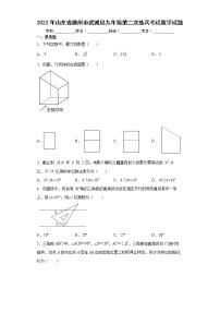 2022年山东省德州市武城县九年级第二次练兵考试数学试题(word版含答案)