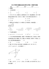 2022年四川省眉山市彭山区九年级一诊数学试题(word版含答案)