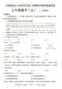 2022年河南省濮阳市清丰县七年级第二学期期中教学质量检测 数学（A）（有答案）