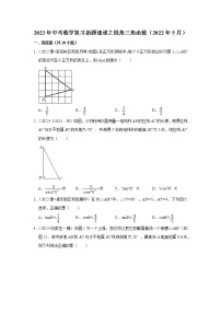 2022年中考数学复习训练题（含解析）----锐角三角函数