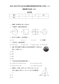 2021-2022学年北京市首都师范附属实验学校八年级（上）周练数学试卷（14）（含解析）