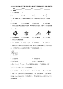 2022年湖北省武汉市洪山区九年级下学期五月月考数学试题(word版含答案)