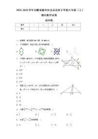 2021-2022学年安徽省滁州市定远县育才学校八年级（上）期末数学试卷（含解析）